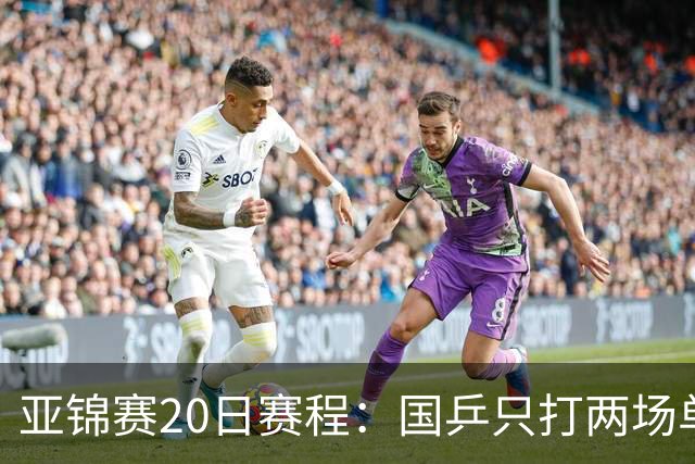 亚锦赛20日赛程：国乒只打两场单打，央视两个频道分头播