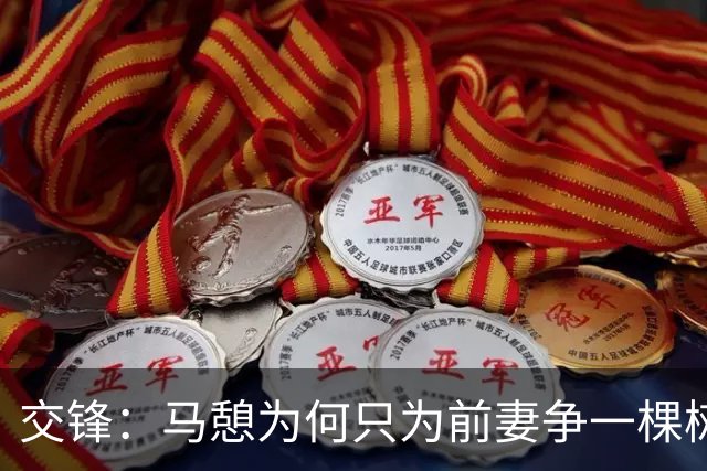 交锋：马憩为何只为前妻争一棵树？贩卖情报的他其实还是国安的人