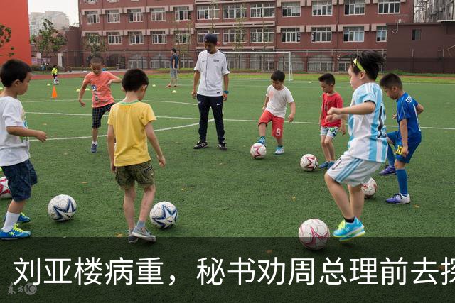 刘亚楼病重，秘书劝周总理前去探望，总理却坚决表示不会再去看他了