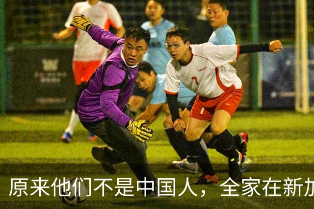 原来他们不是中国人，全家在新加坡享福，半年从中国赚走200多亿