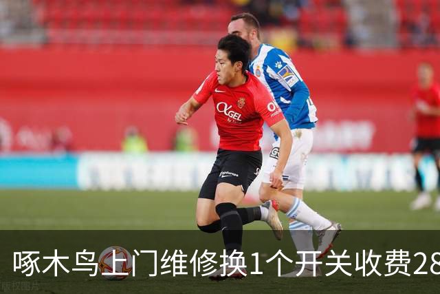 啄木鸟上门维修换1个开关收费2800元