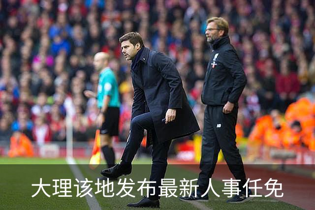 大理该地发布最新人事任免