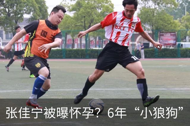张佳宁被曝怀孕？6年“小狼狗”输给清华圈外霸总！
