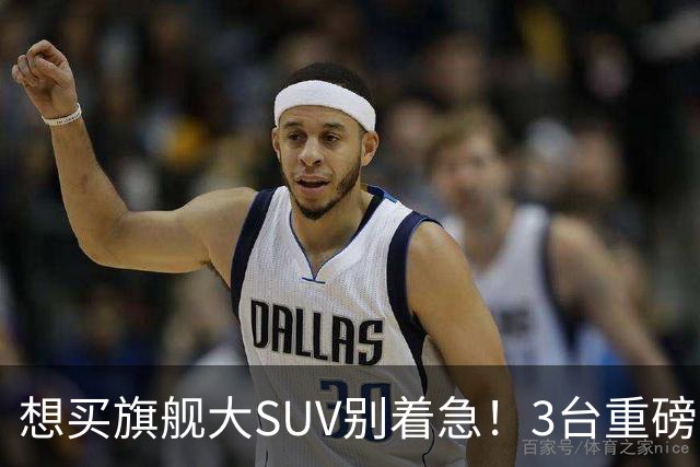 想买旗舰大SUV别着急！3台重磅新车在路上：全是大厂造