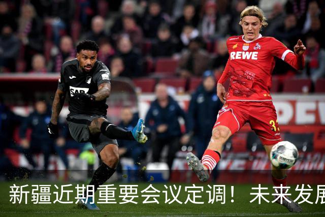 新疆近期重要会议定调！未来发展方向彻底明确