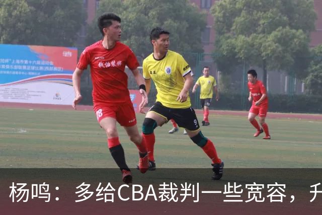 杨鸣：多给CBA裁判一些宽容，升降级了谁也不可能胡来