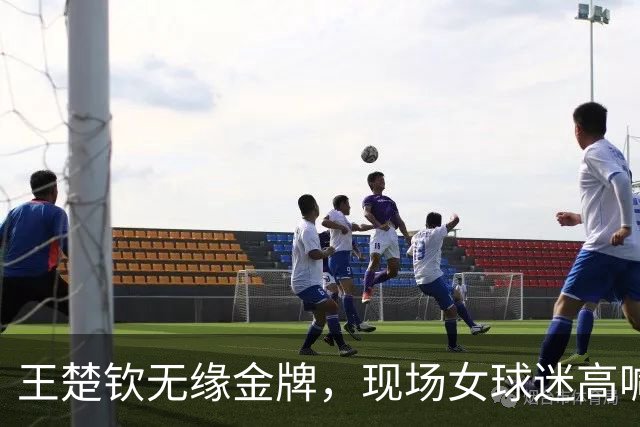 王楚钦无缘金牌，现场女球迷高喊“林诗栋上一单” 国乒教练组听见了