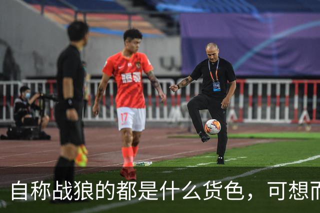 自称战狼的都是什么货色，可想而知