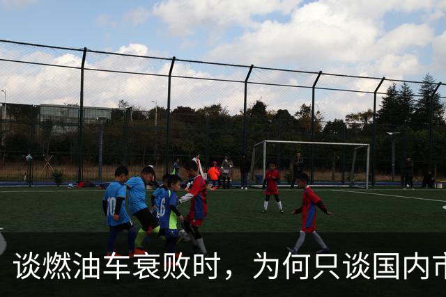 谈燃油车衰败时，为何只谈国内市场？放眼全球则是电车处境不妙