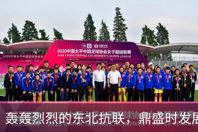 轰轰烈烈的东北抗联，鼎盛时发展到3万人，为什么到1940年就失败了？