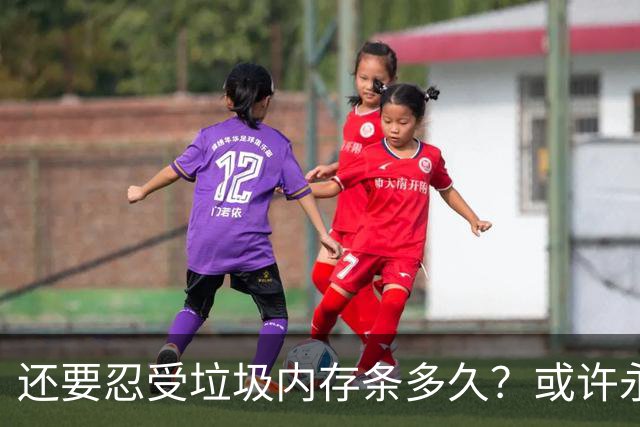 还要忍受垃圾内存条多久？或许永远等不到降价了