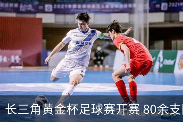 长三角黄金杯足球赛开赛 80余支队伍浙江海盐以球会友