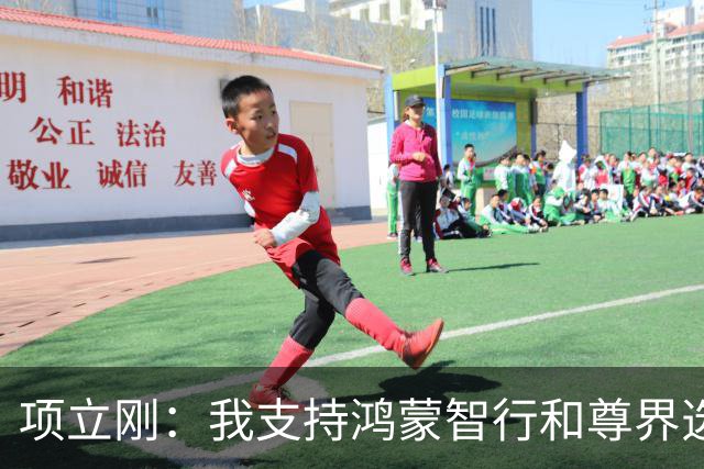 项立刚：我支持鸿蒙智行和尊界选择硬刚
