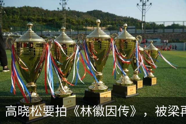高晓松要拍《林徽因传》，被梁再冰警告：“你要是拍我妈和徐志摩的感情线，我告你破产！”高晓松满脸不快