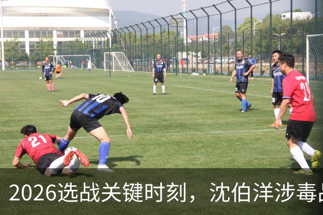 2026选战关键时刻，沈伯洋涉毒品视频疯传！赵少康已成为重要变数