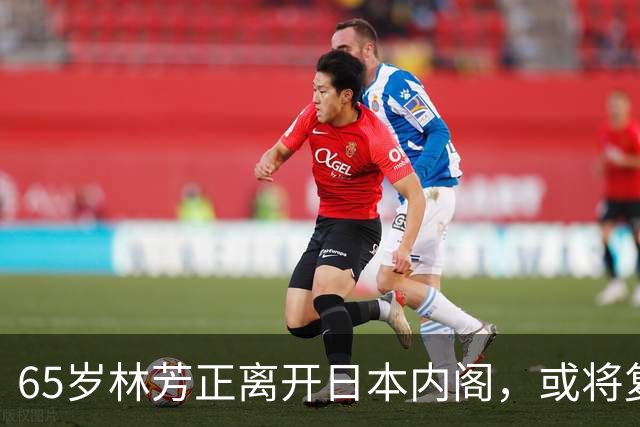 65岁林芳正离开日本内阁，或将复刻石破茂路线，成为反高市核心？