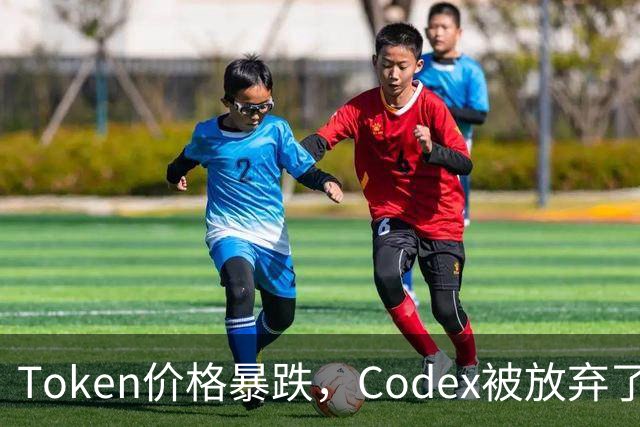 Token价格暴跌，Codex被放弃了